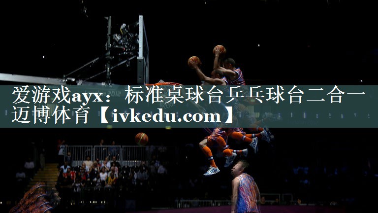 爱游戏ayx：标准桌球台乒乓球台二合一迈博体育