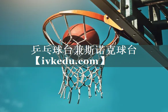 乒乓球台兼斯诺克球台