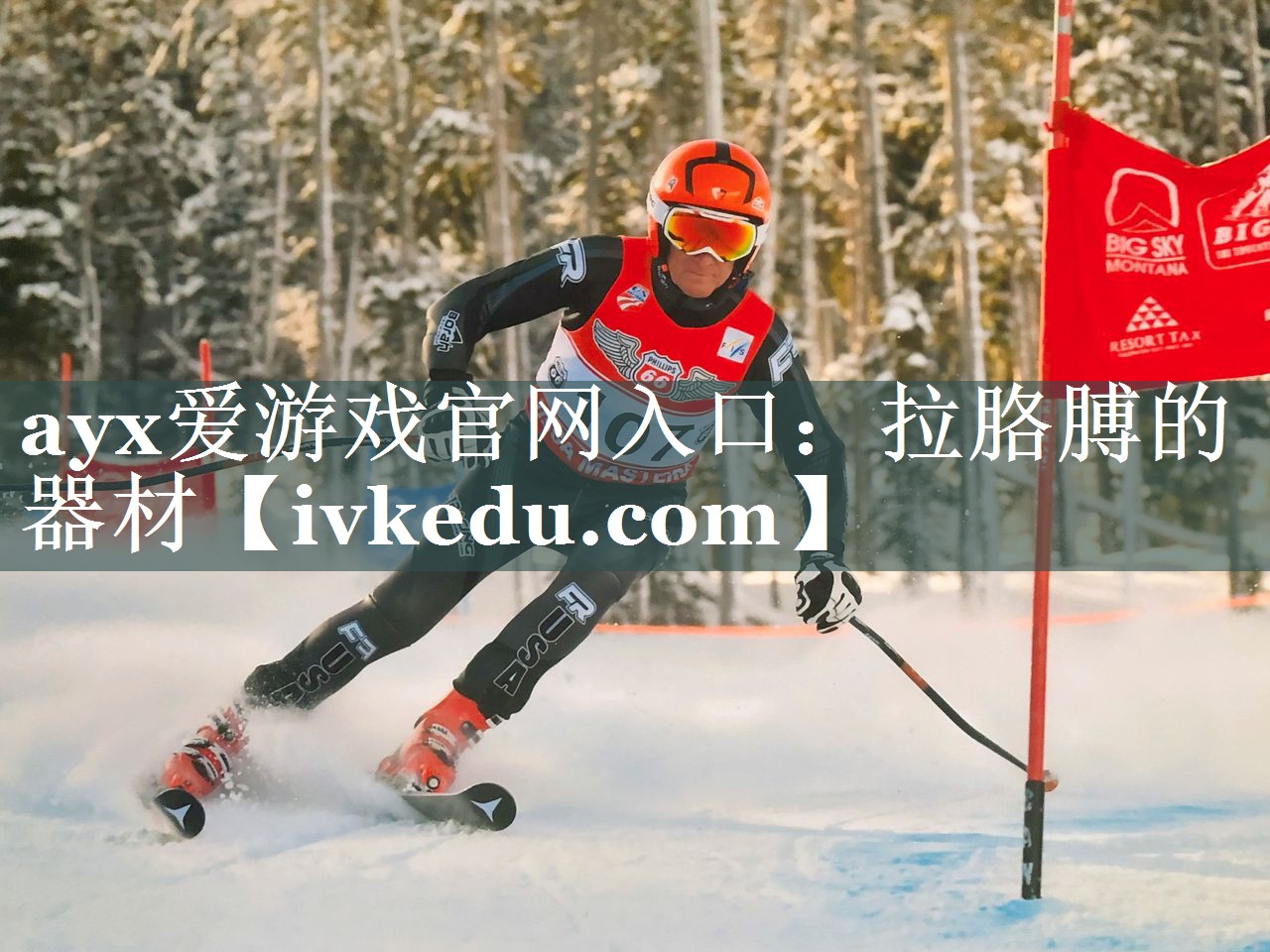 ayx爱游戏官网入口：拉胳膊的器材