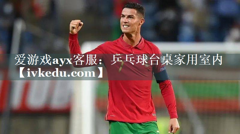 爱游戏ayx客服：乒乓球台桌家用室内