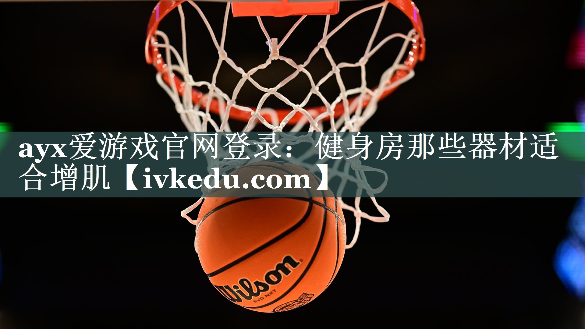 ayx爱游戏官网登录：健身房那些器材适合增肌