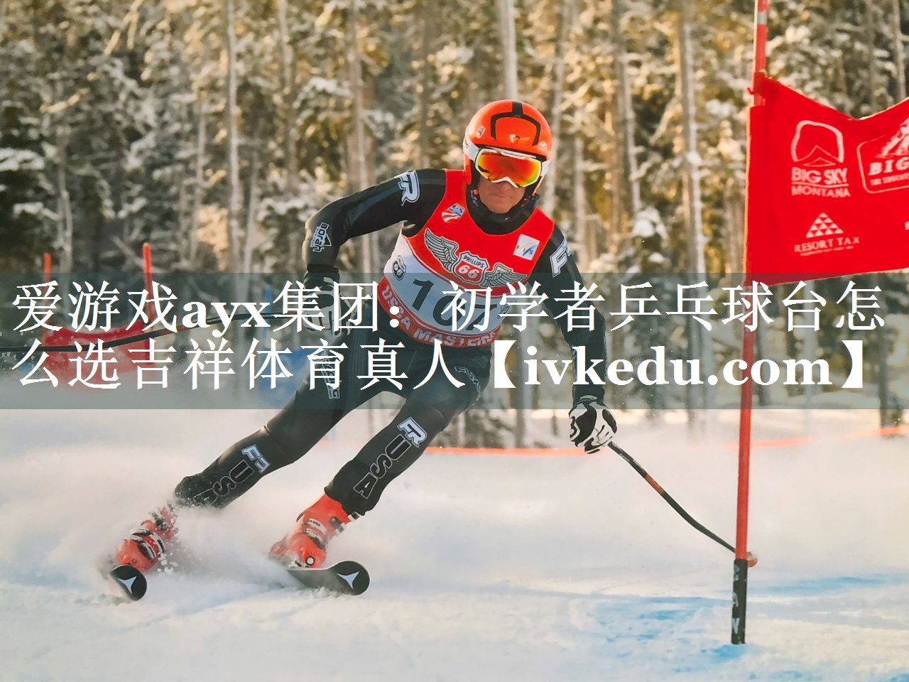 爱游戏ayx集团：初学者乒乓球台怎么选吉祥体育真人