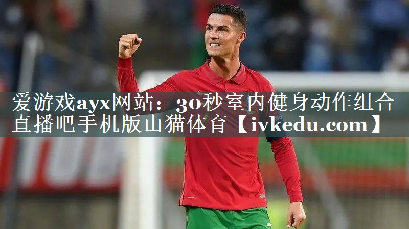 爱游戏ayx网站：30秒室内健身动作组合直播吧手机版山猫体育