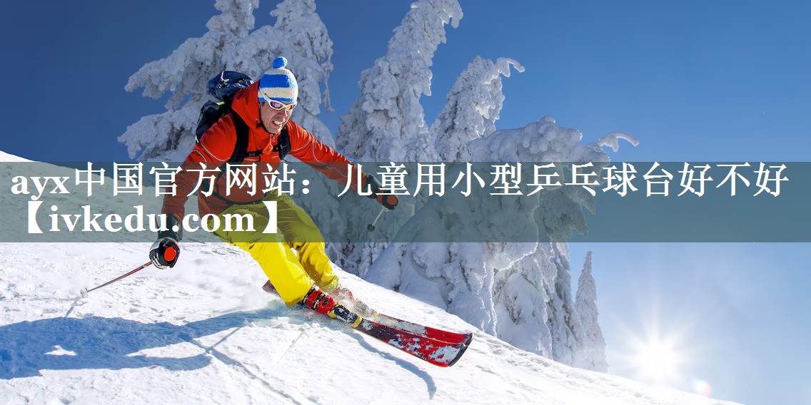 儿童用小型乒乓球台好不好