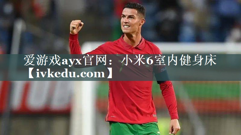 小米6室内健身床