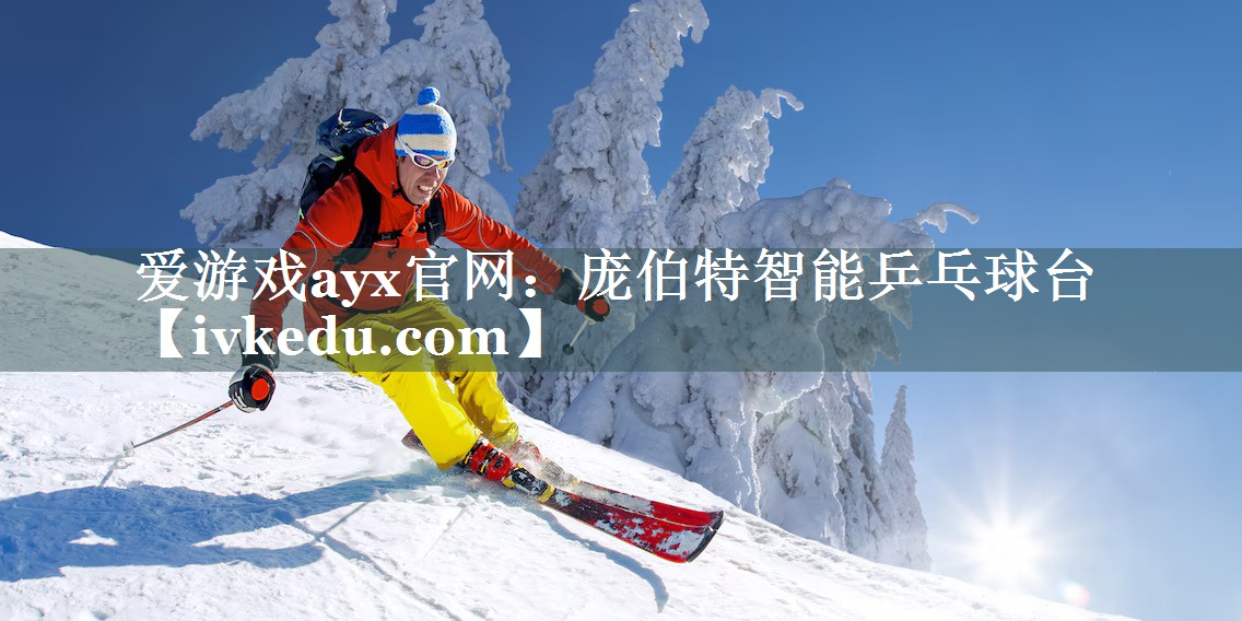 庞伯特智能乒乓球台