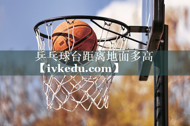 乒乓球台距离地面多高