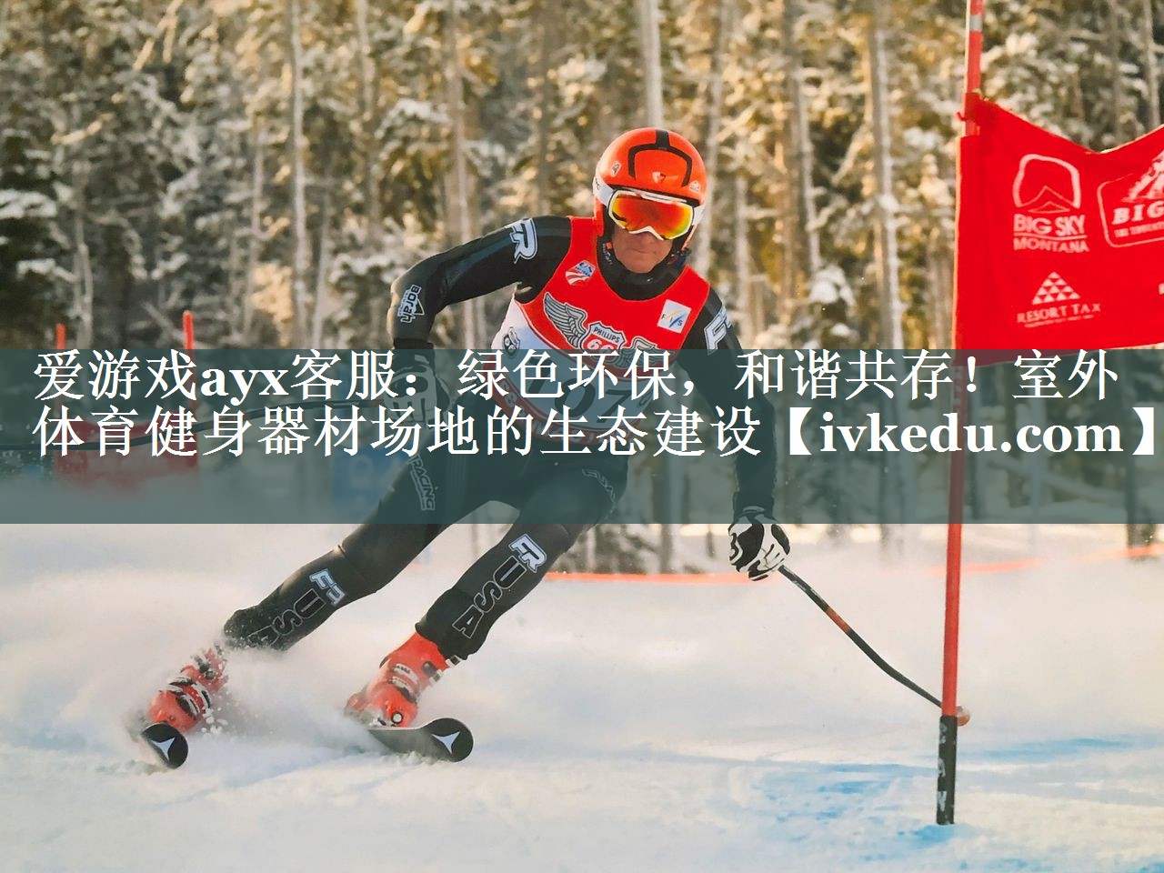 绿色环保,和谐共存!室外体育健身器材场地的生态建设 绿色环保,和谐共存!室外体育健身器材场地的生态建设