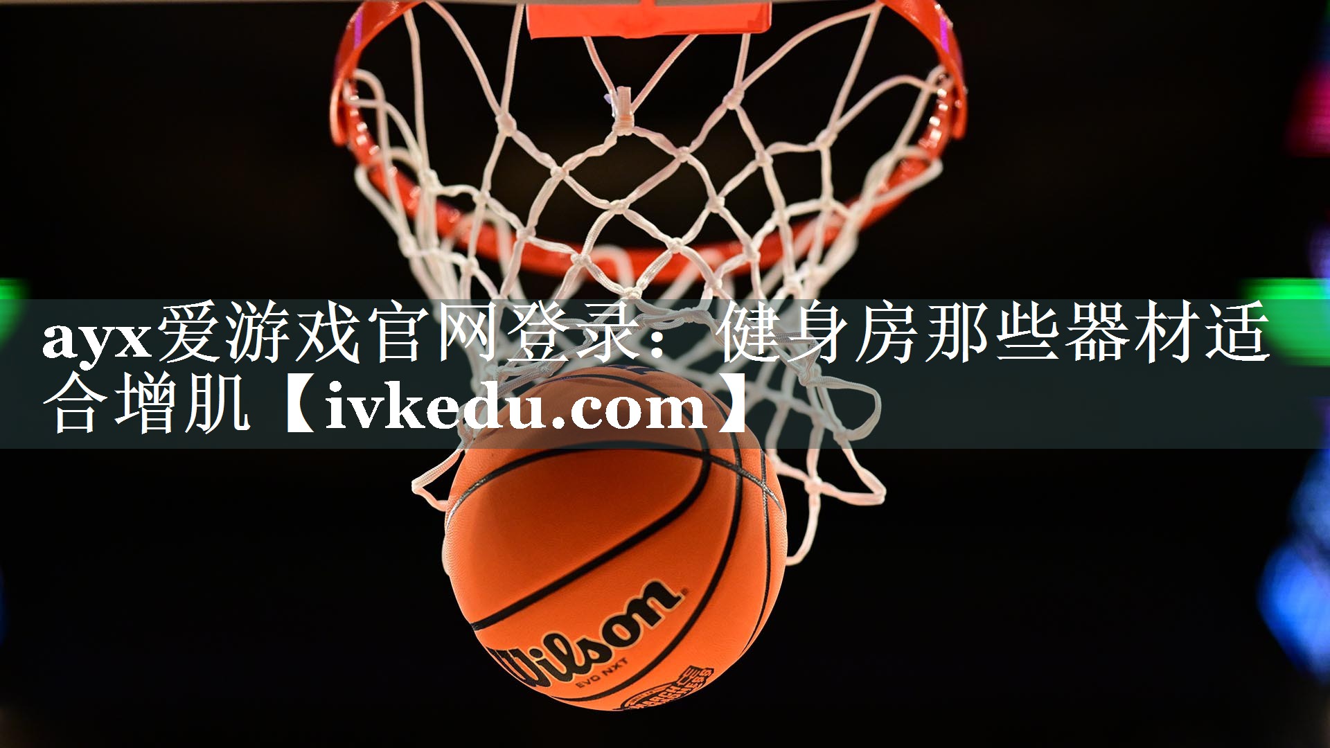 健身房那些器材适合增肌 健身房那些器材适合增肌