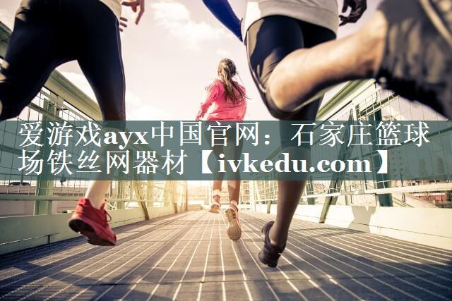 石家庄篮球场铁丝网器材 石家庄篮球场铁丝网器材