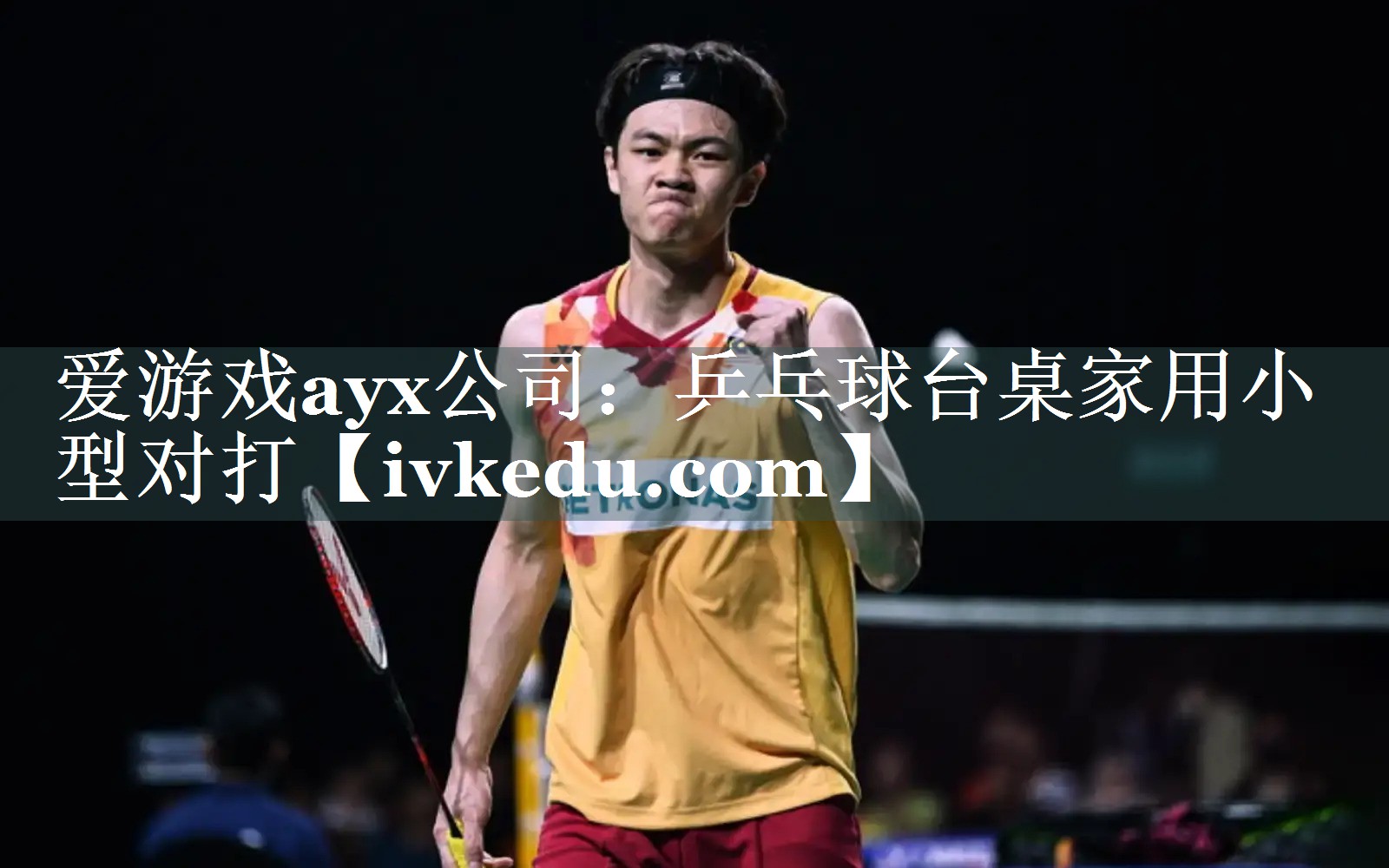 乒乓球台桌家用小型对打 乒乓球台桌家用小型对打