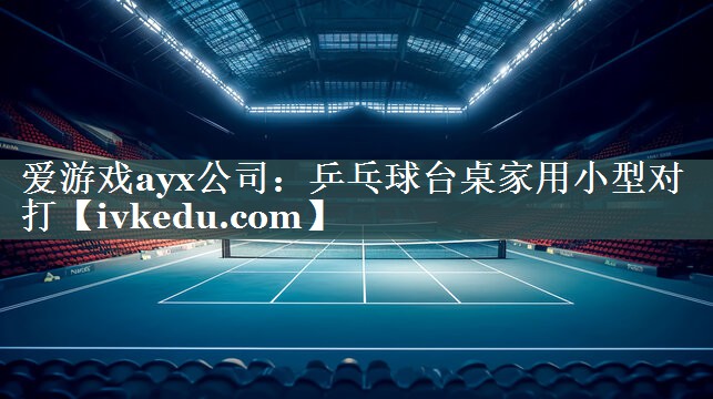 乒乓球台桌家用小型对打 乒乓球台桌家用小型对打